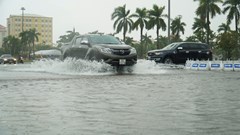  Quảng Nam cho học sinh nghỉ học tránh bão lũ