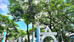 Nghiên cứu phát triển điểm đến tại Trung tâm Thánh mẫu Trà Kiệu