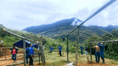 Khảo sát địa điểm tái định cư, triển khai các phương án dự phòng tình huống sạt lở 