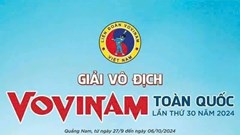 Hơn 400 vận động viên tham gia Giải vô địch Vovinam toàn quốc