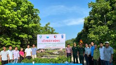 Trồng 3.000 cây gỗ bản địa phục hồi rừng trên đảo Cù Lao Chàm