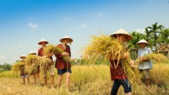 Phát triển du lịch gắn với bảo tồn di sản văn hóa, đa dạng sinh học