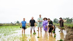 Hội nghị quốc tế về du lịch nông thôn sẽ diễn ra tại Quảng Nam từ ngày 7-12.12