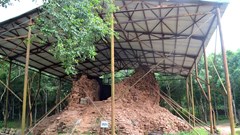 Hiện trạng nhóm tháp E,F Mỹ Sơn trước ngày triển khai dự án bảo tồn 