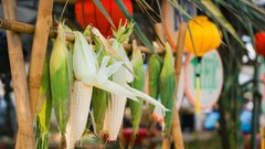 Tổ chức ngày hội tôn vinh nghề bắp nếp 