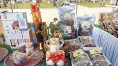 72 gian hàng tham gia Triển lãm chào mừng 50 năm giải phóng tỉnh Quảng Nam