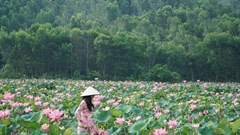 Công bố chương trình ưu đãi 10 tỉ đồng kích cầu du lịch năm 2025