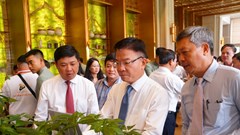 Hình thành trung tâm công nghiệp dược liệu với sâm Ngọc Linh là cây chủ lực