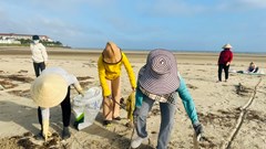 Kế hoạch tổ chức Tháng hành động vì môi trường năm 2025 