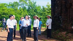 Tập trung triển khai nhiệm vụ lập quy hoạch bảo tồn, phục hồi Khu đền tháp Mỹ Sơn đến năm 2035