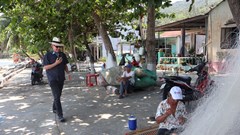 Hiệu quả mô hình đồng quản lý bảo tồn biển Cù Lao Chàm