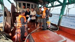 Triển khai đợt cao điểm ngăn chặn chống khai thác IUU