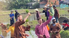 Du khách hào hứng lội ruộng, xuống đồng cấy lúa cùng nông dân 