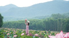 Đà Nẵng dành 500 tỉ đồng phát triển nông nghiệp hữu cơ 