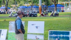 Xem triển lãm “Đất lành chim đậu”, hiểu thêm về thiên nhiên
