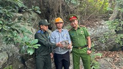 Giải cứu tê tê quý hiếm trôi dạt trên biển Cù Lao Chàm