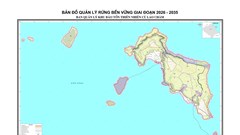 Cù Lao Chàm quản lý rừng theo mô hình “rừng - biển - đảo - cộng đồng
