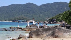 Hai “trụ cột” thúc đẩy Khu sinh quyển Cù Lao Chàm - Hội An phát triển