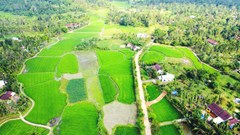 Lộc Yên chuẩn bị mở hội làng, mời du khách về miền hạnh phúc