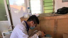 Đà Nẵng thu hút bác sĩ về tuyến cơ sở, miền núi, hải đảo