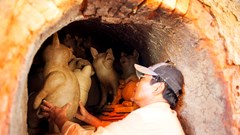 Gốm Thanh Hà: Giữ hồn đất, mở lối sáng tạo