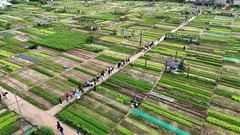 Xây dựng thôn nông thôn mới gắn với văn hóa, môi trường và chuyển đổi số