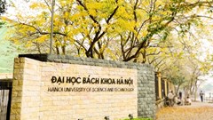 Trường đại học và Đại học khác gì nhau? 