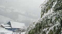 Ngoài mặc đồ giữ ấm tốt, bác sĩ nói có 2 thứ cần đảm bảo để tạo lớp “áo giáp mềm” cho cơ thể: Không sợ đột quỵ, hạ đường huyết!