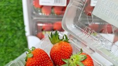 Dâu tây ở siêu thị có thể giữ tươi trong 1 tuần mà không bị thối, dâu tây bạn tự hái lại bị mốc chỉ sau 2 ngày: Câu trả lời không phải là chất bảo quản!