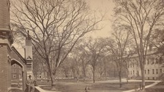 Vì sao Đại học Harvard lại có tên là Harvard?