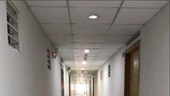 Cô gái “trốn” hàng xóm: Thói quen kỳ lạ nhưng lý do được nhiều người cảm thông