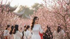 Tại sao tiết Lập xuân thường không thể trùng đúng mùng 1 Tết