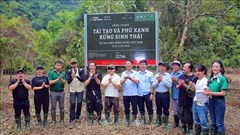 Gieo hàng trăm mầm