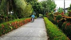 Công nhận huyện Cao Lãnh (Đồng Tháp) đạt chuẩn nông thôn mới nâng cao