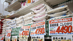 Khi gạo trở thành tâm điểm của chính trường Nhật Bản