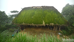 Khuổi My trong sương: Miền cổ tích trên sườn Tây Côn Lĩnh