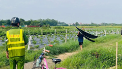 Phát hiện diều bay khi máy bay chuẩn bị hạ cánh xuống Cảng HKQT Nội Bài