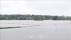 Bão số 1: Từ 15.30 sẽ điều tiết nước hồ thuỷ điện Hương Điền (Huế) về hạ du