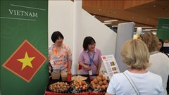 Sắc màu Việt Nam trong Lễ hội đá quý châu Á vì mục đích thiện nguyện