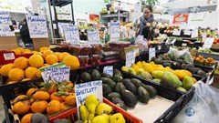 Giúp hàng Việt Nam xuất khẩu vào Canada nhiều hơn