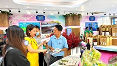 Ninh Thuận giới thiệu quảng bá sản phẩm OCOP tại TP Hồ Chí Minh