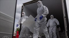 Nga, Ukraine tiếp tục trao đổi thi thể binh sĩ, tù nhân chiến tranh