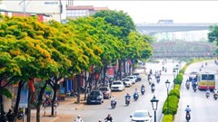 Bắc Bộ ngày nắng, chiều tối và đêm có mưa dông rải rác