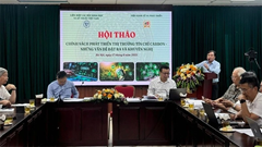 Xây dựng chính sách phát triển thị trường tín chỉ carbon