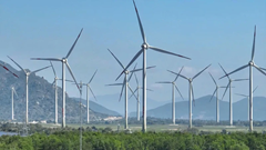 Lựa chọn tất yếu trên con đường Net Zero