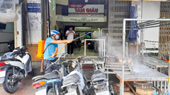 Tăng cường phòng chống dịch bệnh liên cầu khuẩn trên lợn