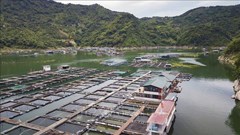 Du lịch kết hợp ngư nghiệp tạo sự phát triển bền vững