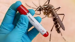 Các tỉnh thành phía Nam: Số ca sốt xuất huyết nặng gia tăng