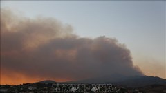 Châu Âu vật lộn với nắng nóng và cháy rừng dữ dội