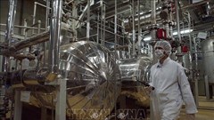 Nga, Pháp thể hiện quan ngại về việc Iran đình chỉ hợp tác với IAEA